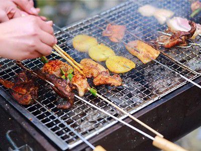 Galvanized Steel BBQ Grill Mesh (Disposable Charcoal Grill)